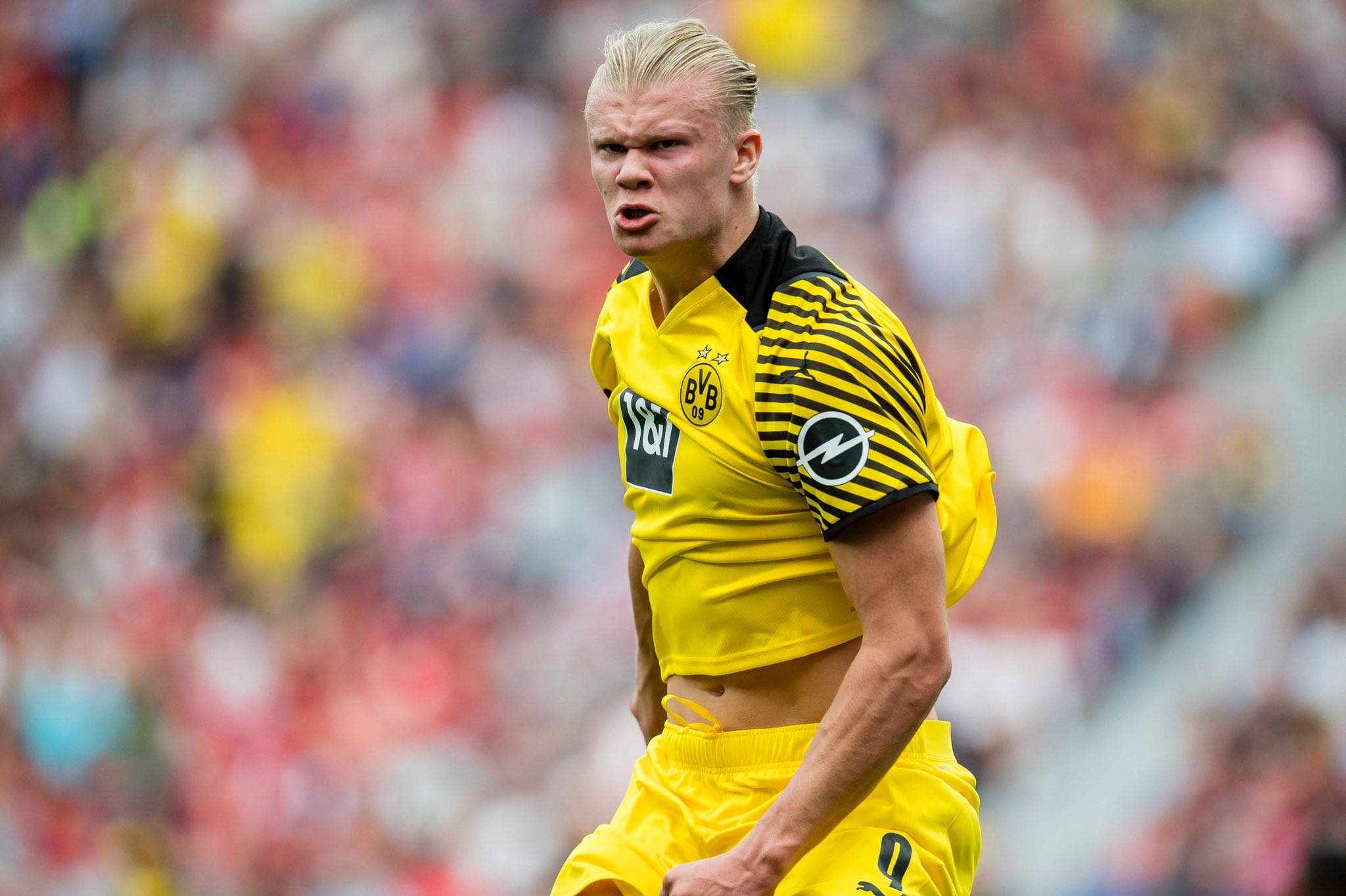 牛棚管理策 牛棚管理策