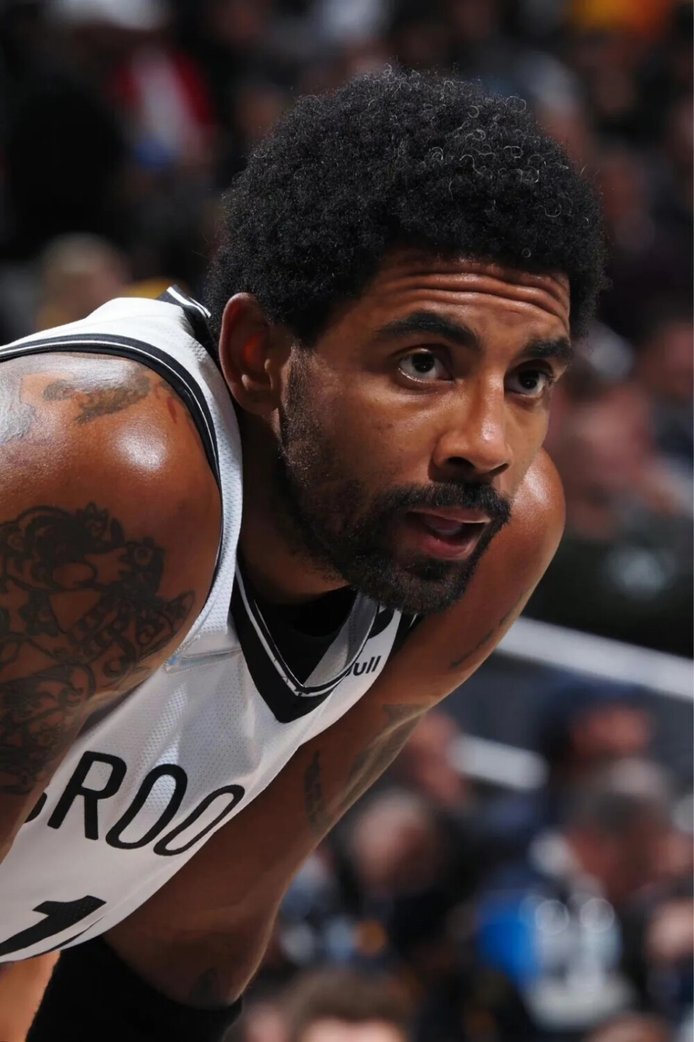 稳定判决尺 稳定判决尺